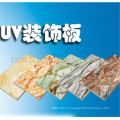 TM-UV-Dp Plaques décoratives UV Glazing Plancher de bois dur polisseuse